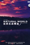 (泰盛文化)BBC2-自然生态精选(双碟装)DVD